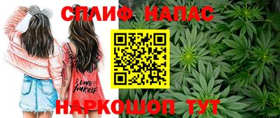 прущие грибы Заводоуковск