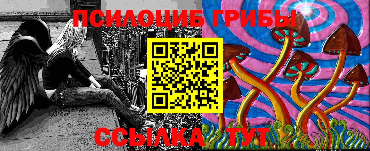 Галлюциногенные грибы Psilocybe Рубцовск