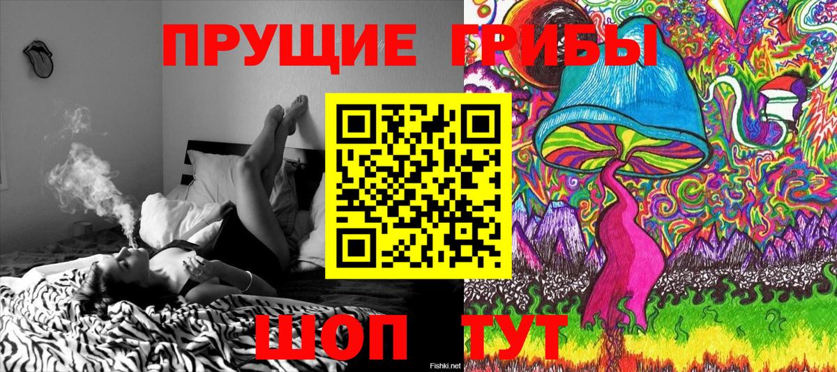 Рубцовск  купить   Вход с VPN  Галлюциногенные грибы прущие грибы 